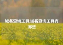 域名查询工具,域名查询工具有哪些