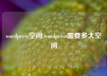 wordpress空间,wordpress需要多大空间