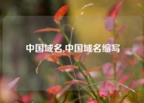 中国域名,中国域名缩写