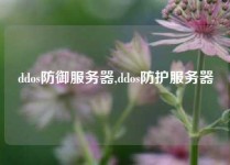 ddos防御服务器,ddos防护服务器