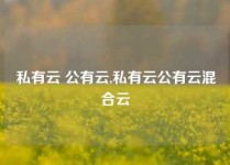 私有云 公有云,私有云公有云混合云
