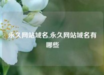 永久网站域名,永久网站域名有哪些