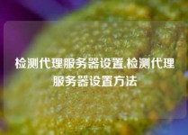 检测代理服务器设置,检测代理服务器设置方法