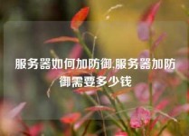 服务器如何加防御,服务器加防御需要多少钱