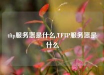 tftp服务器是什么,TFTP服务器是什么