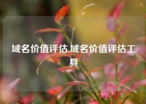 域名价值评估,域名价值评估工具