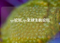 vps论坛,vps全球主机论坛