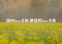 国内linux主机,便宜的linux主机