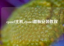 cpanel主机,cpanel面板安装教程