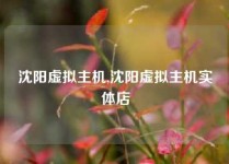沈阳虚拟主机,沈阳虚拟主机实体店