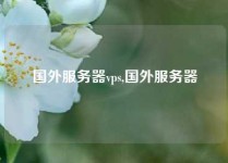 国外服务器vps,国外服务器