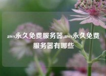aws永久免费服务器,aws永久免费服务器有哪些