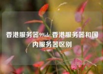 香港服务器99idc,香港服务器和国内服务器区别