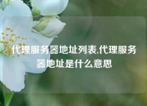 代理服务器地址列表,代理服务器地址是什么意思