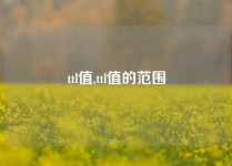 ttl值,ttl值的范围