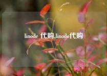 linode 代购,linode代购