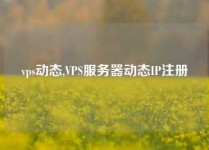 vps动态,VPS服务器动态IP注册