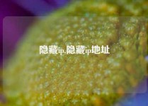 隐藏ip,隐藏ip地址