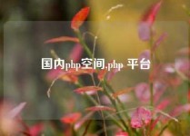 国内php空间,php 平台