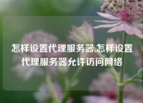 怎样设置代理服务器,怎样设置代理服务器允许访问网络