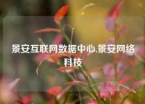 景安互联网数据中心,景安网络科技