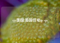 vps美国,美国住宅ip vps