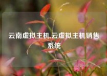 云南虚拟主机,云虚拟主机销售系统