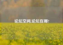 论坛空间,论坛在哪?