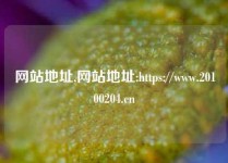 网站地址,网站地址:https://www.20100204.cn