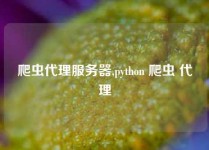 爬虫代理服务器,python 爬虫 代理