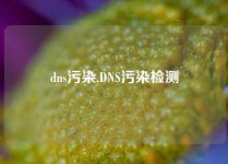 dns污染,DNS污染检测