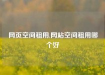 网页空间租用,网站空间租用哪个好
