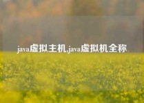 java虚拟主机,java虚拟机全称