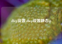 dhcp设置,dhcp设置静态ip