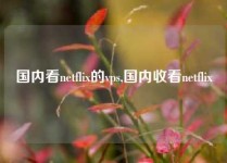 国内看netflix的vps,国内收看netflix