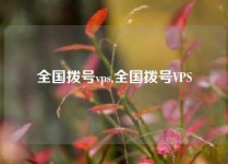 全国拨号vps,全国拨号VPS