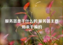 服务器是干什么的,服务器主要用来干嘛的