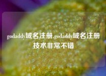 godaddy域名注册,godaddy域名注册技术非常不错