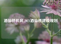 酒仙桥机房,2021酒仙桥建设规划