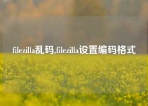 filezilla乱码,filezilla设置编码格式