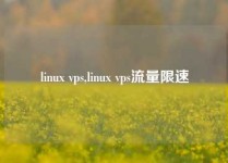 linux vps,linux vps流量限速