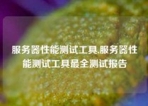 服务器性能测试工具,服务器性能测试工具最全测试报告