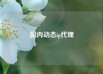 国内动态ip代理