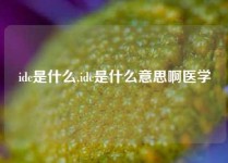 idc是什么,idc是什么意思啊医学