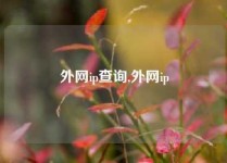 外网ip查询,外网ip