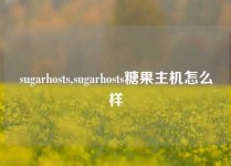sugarhosts,sugarhosts糖果主机怎么样