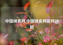 中国域名网,中国域名网官网孙超