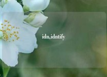 idn,idntify