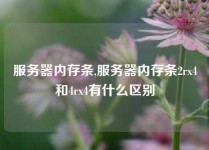 服务器内存条,服务器内存条2rx4和4rx4有什么区别