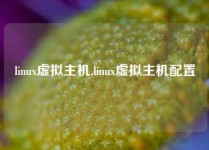 linux虚拟主机,linux虚拟主机配置